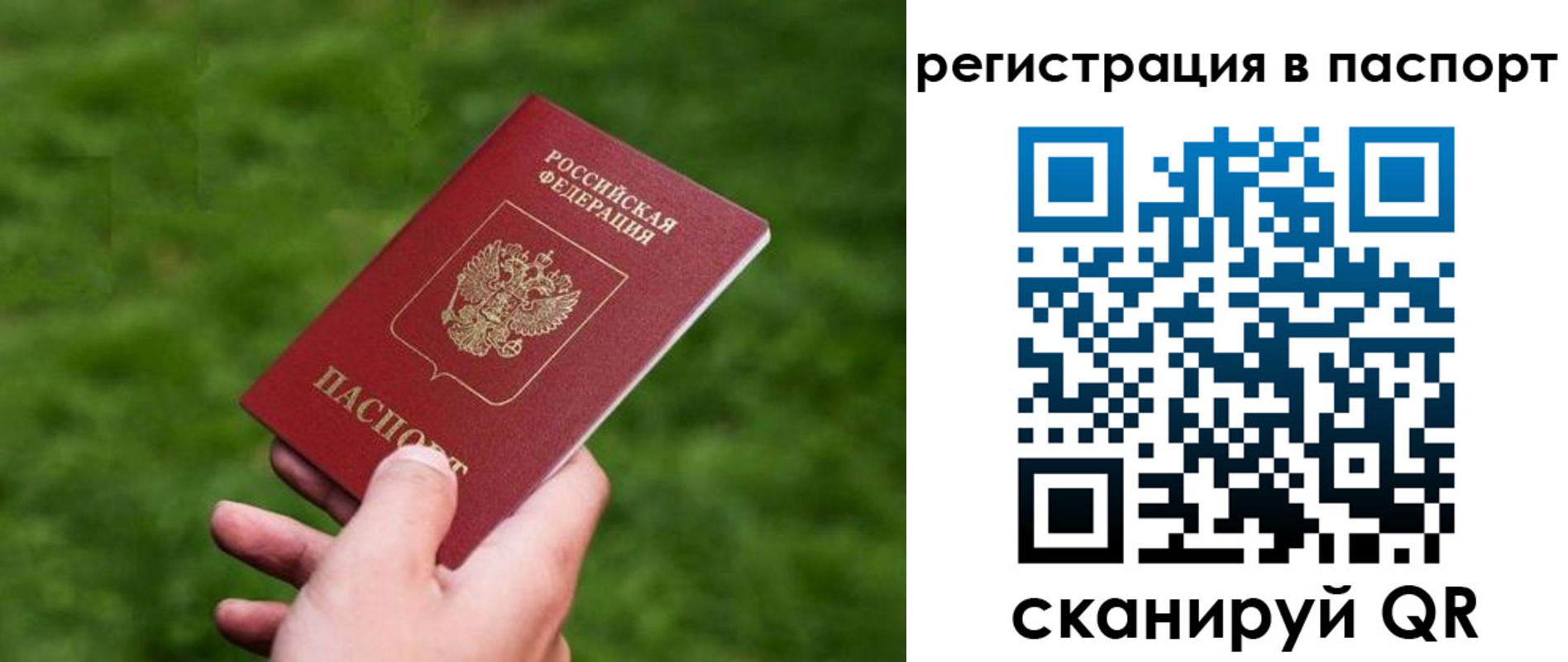 пропишу в квартире в Сасово